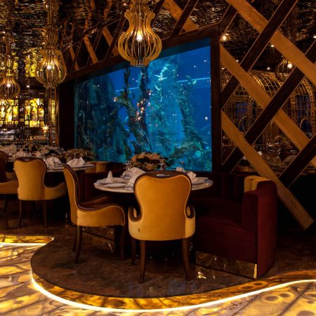 kasibeyaz-akvaryum-12