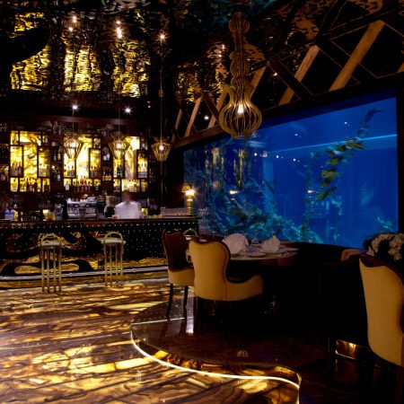 kasibeyaz-akvaryum-14