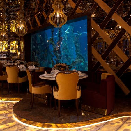 kasibeyaz-akvaryum-15