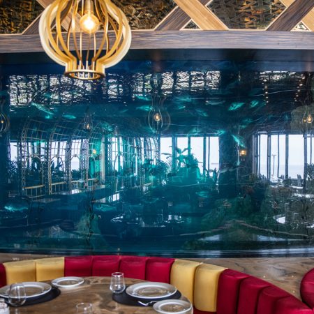 kasibeyaz-akvaryum-22