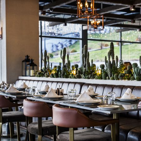 kasibeyaz-zekeriyakoy-n-2